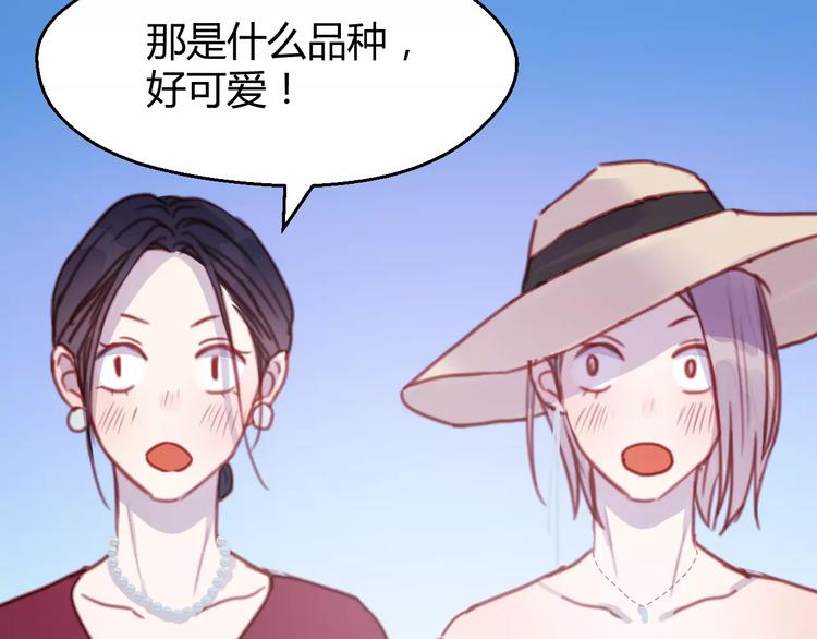 捡到只小狐狸漫画,番外：最宠爱宠物的人2图