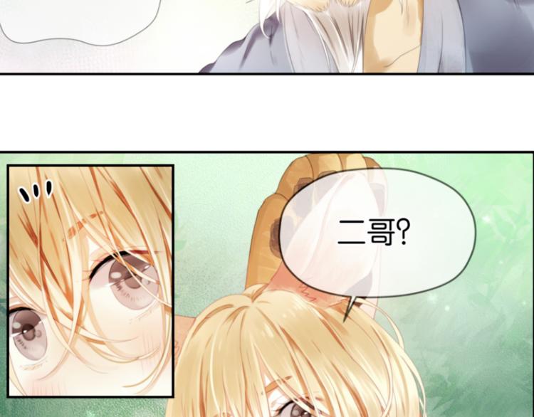 捡到只小狐狸小说txt漫画,第1＋2话 捡到一只很萌的狐狸？2图