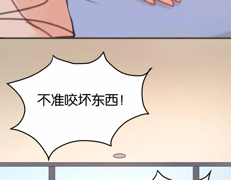 捡到只小狐狸漫画,第6话 吃货是最好对付的1图