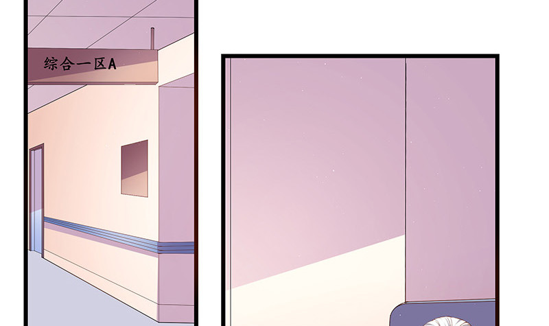 南风也曾入我怀小说免费阅读漫画,第187话 夫人似乎怀孕了1图