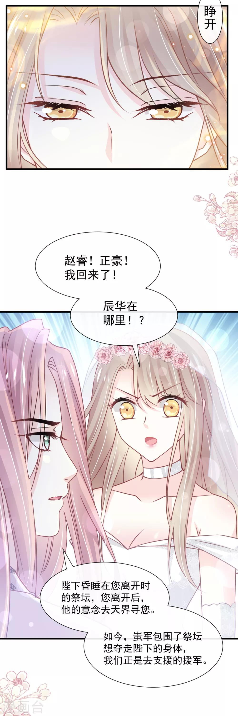 天下第一宠漫画免费漫画下拉式漫画,第179话 即将团聚2图