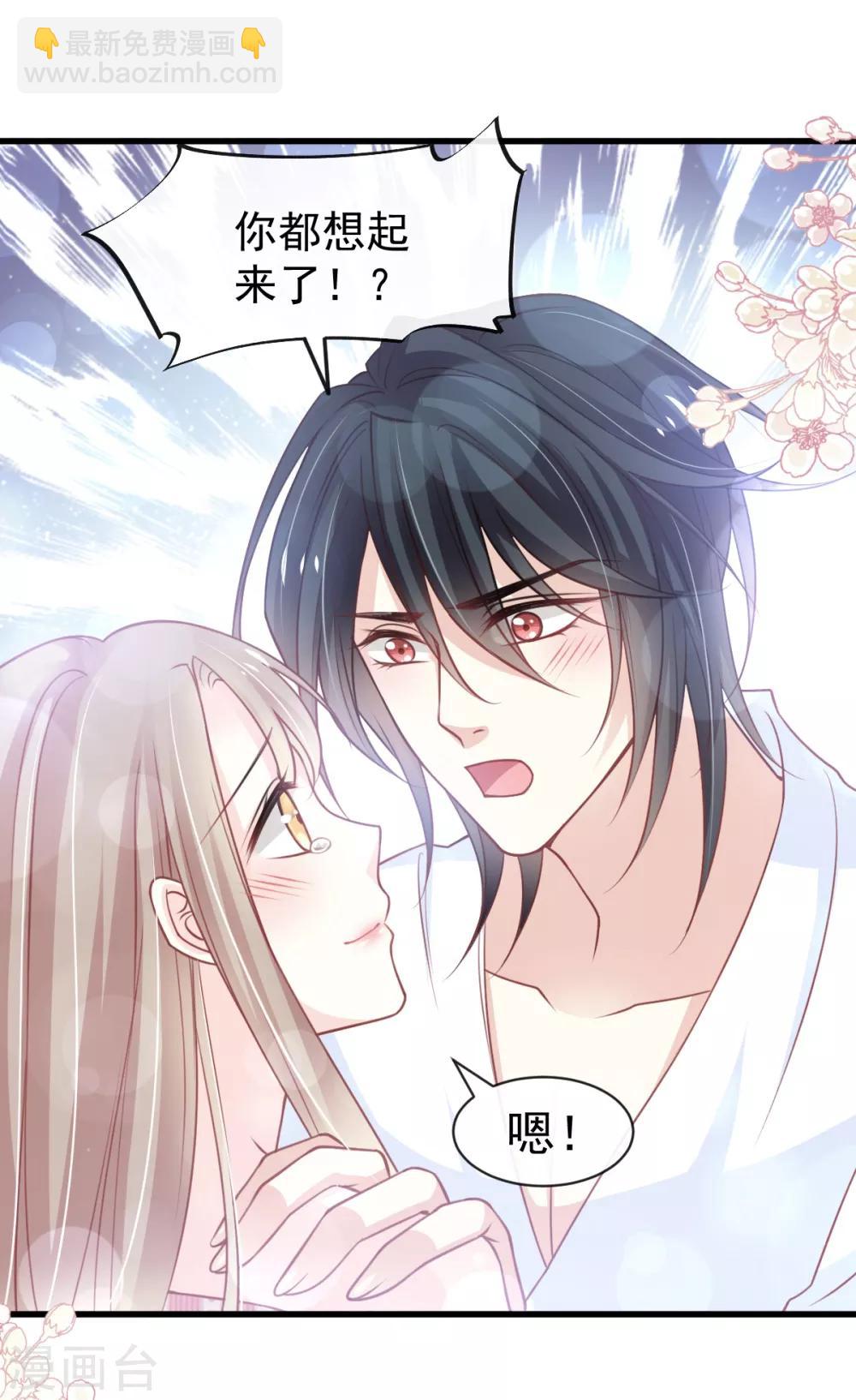 天下第一宠免费阅读小说漫画,第176话 恢复记忆的那一夜2图