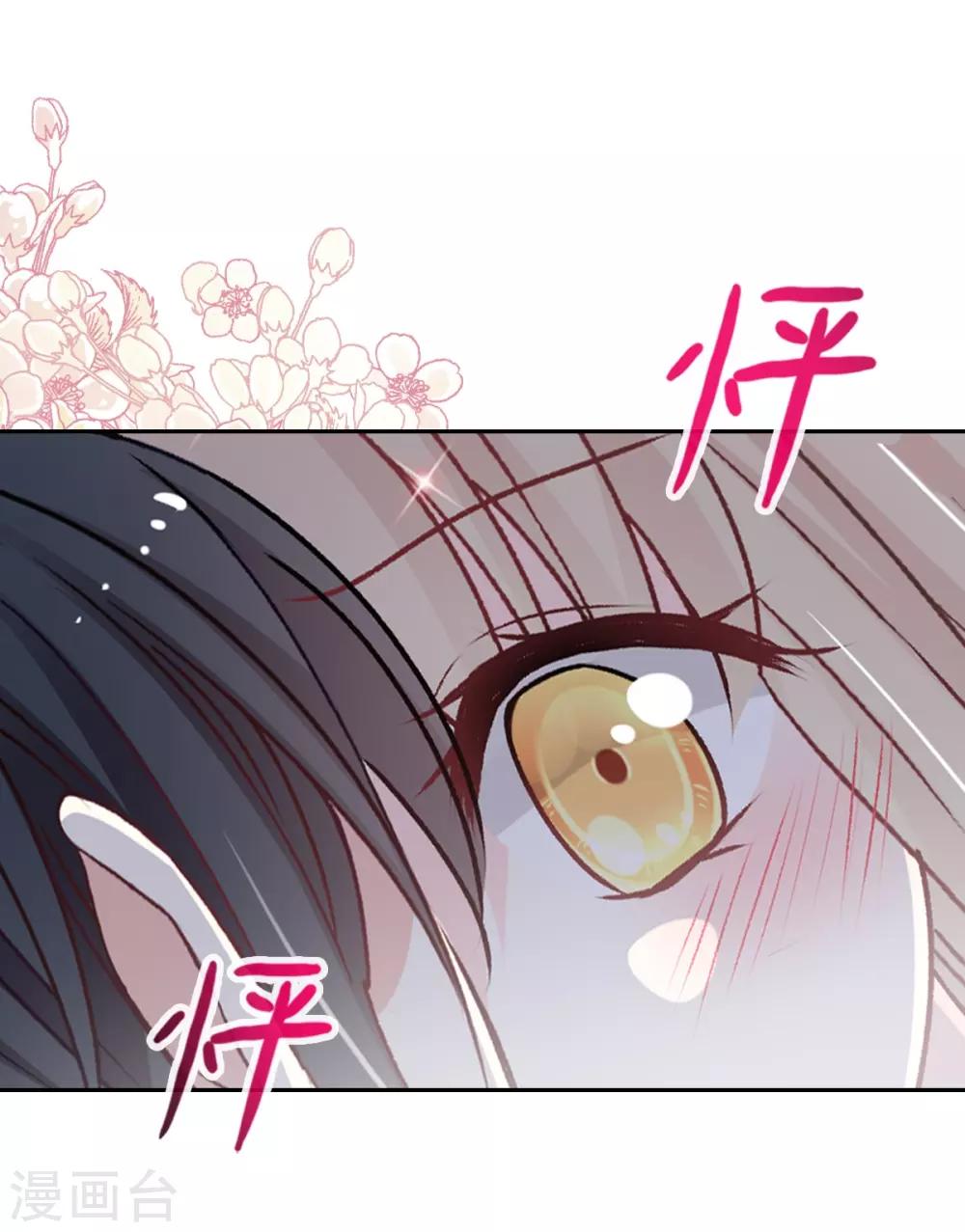 天下第一宠免费阅读漫画漫画,第65话 夜袭箐王1图