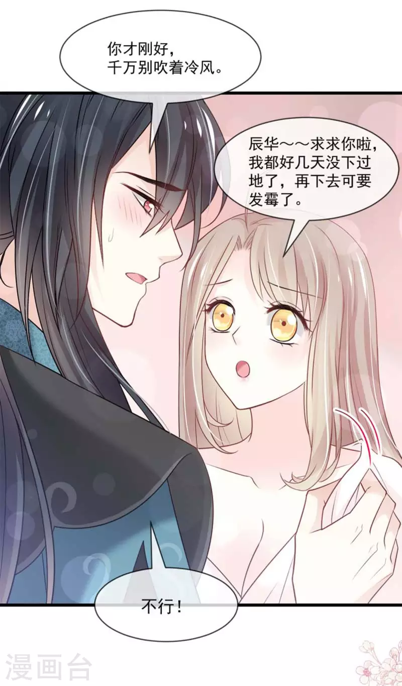 天下第一宠免费阅读小说漫画,第215话 爱的浓烈1图