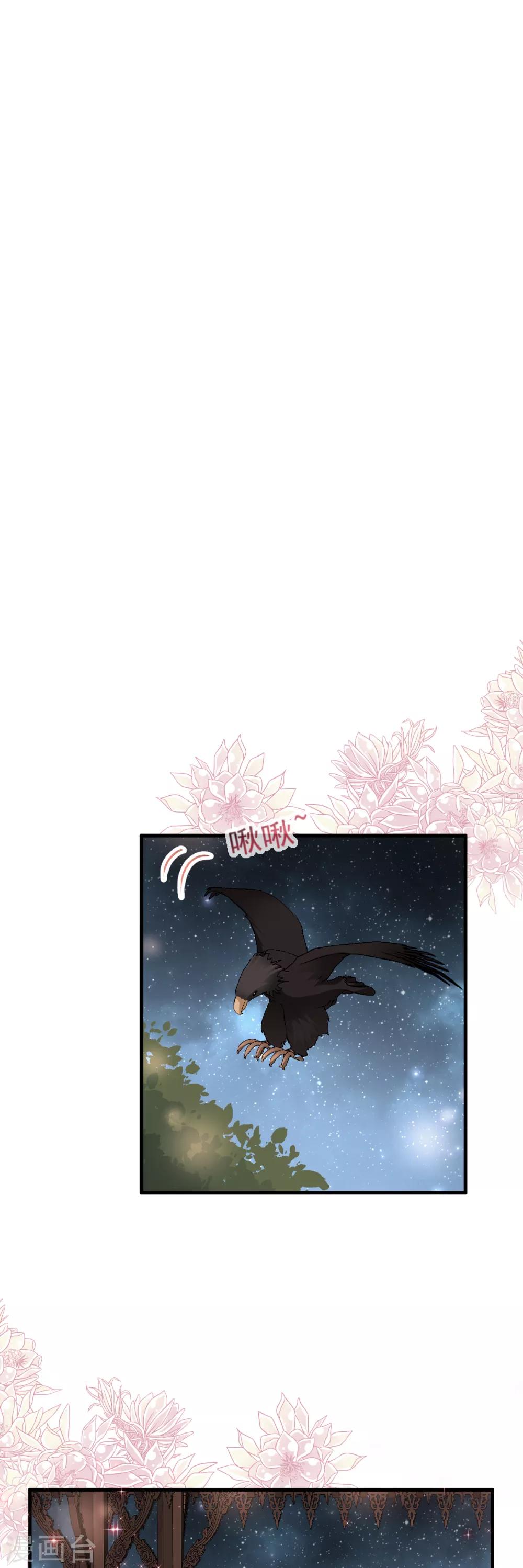 天下第一宠免费阅读小说漫画,第33话 我要亲自找到你2图