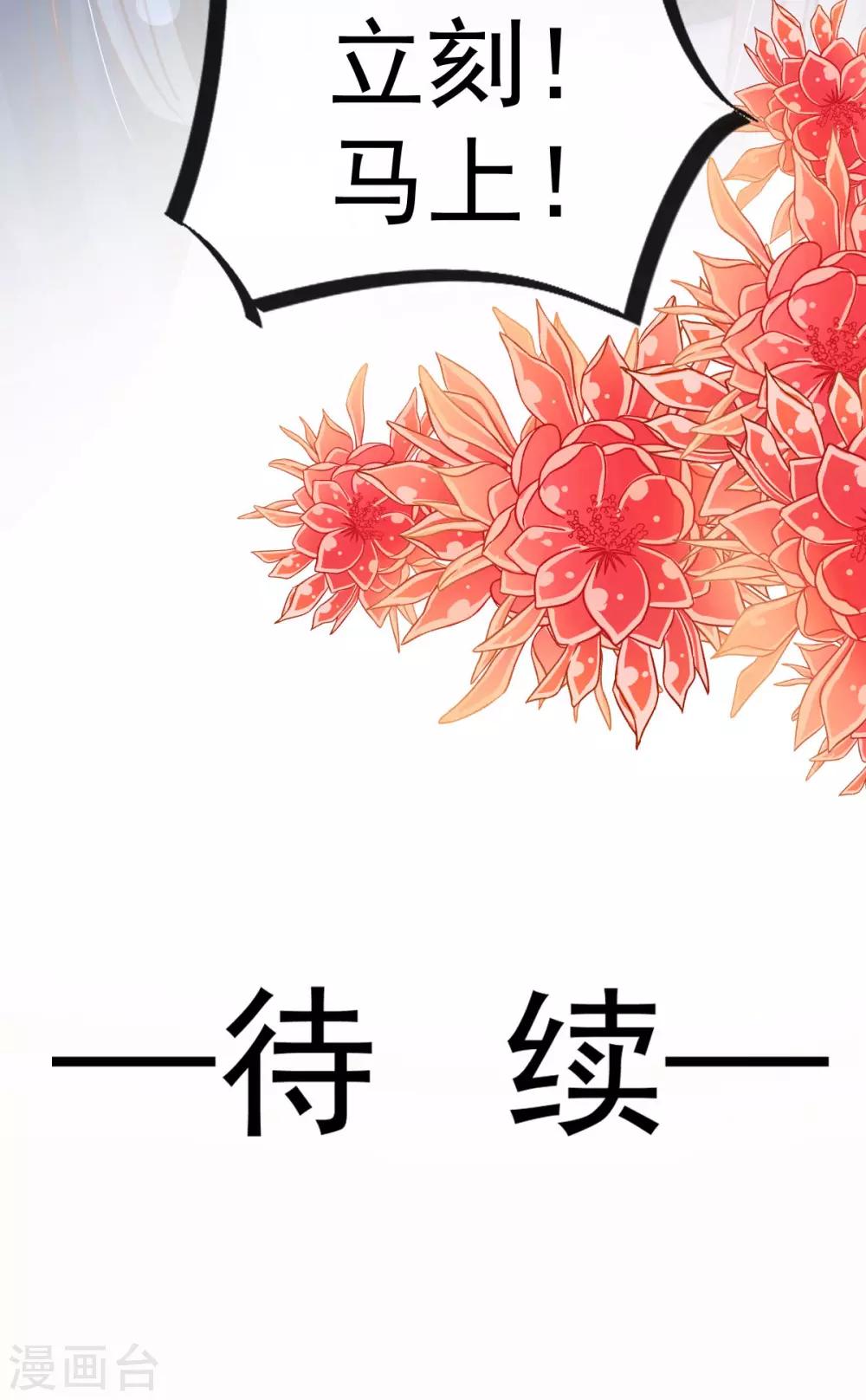 天下第一宠免费阅读小说漫画,第132话 无法想象没有你的世界1图
