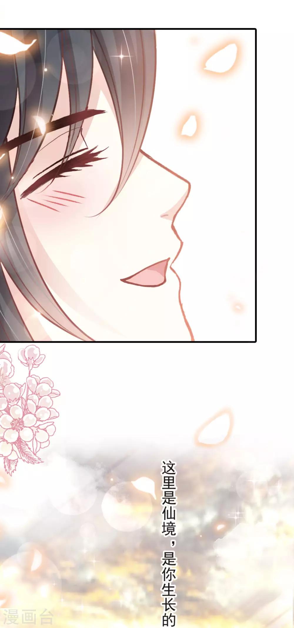 天下第一宠免费阅读小说漫画,第159话 魔都之巅的求婚2图