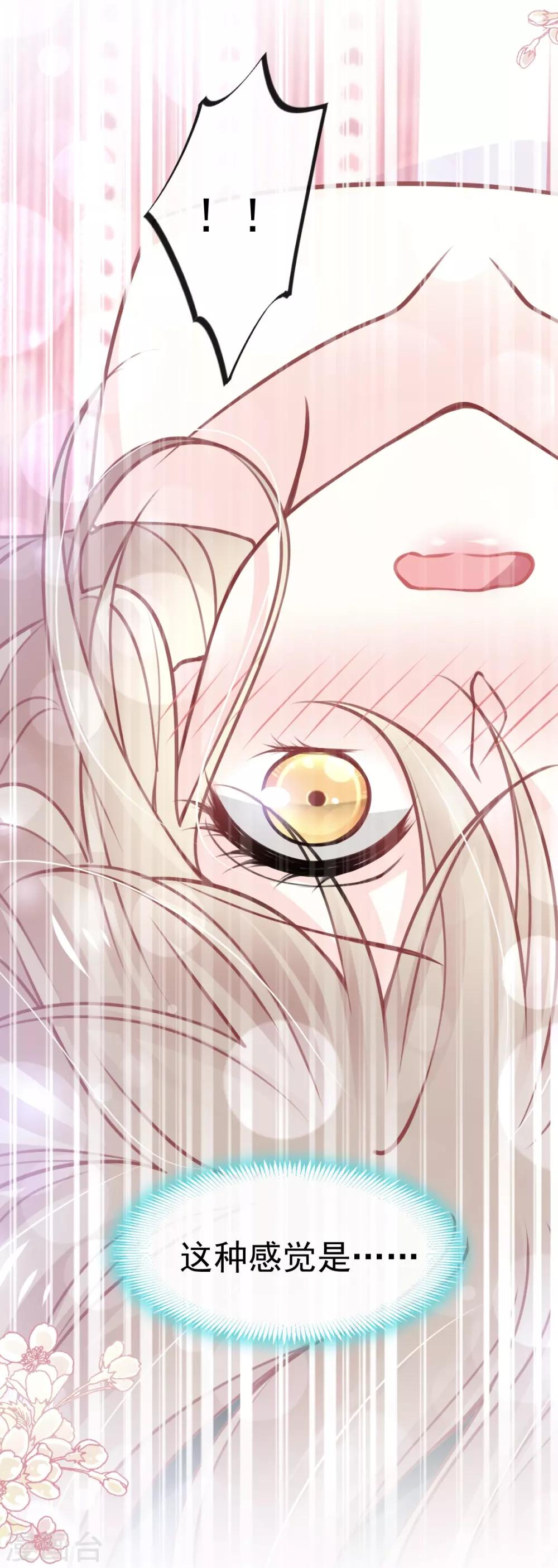 天下第一宠免费阅读小说漫画,第174话 为箐王续命1图
