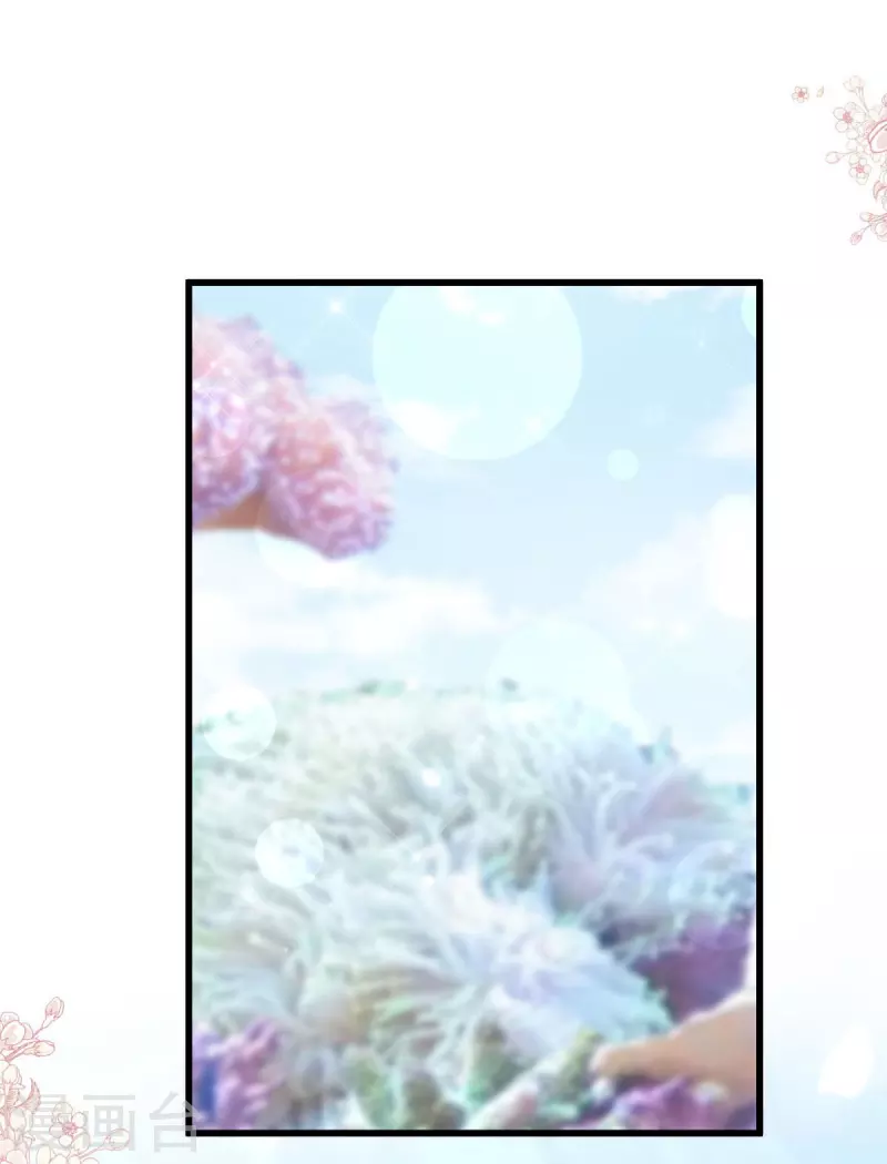 天下第一宠免费阅读小说漫画,第237话 小心着凉1图