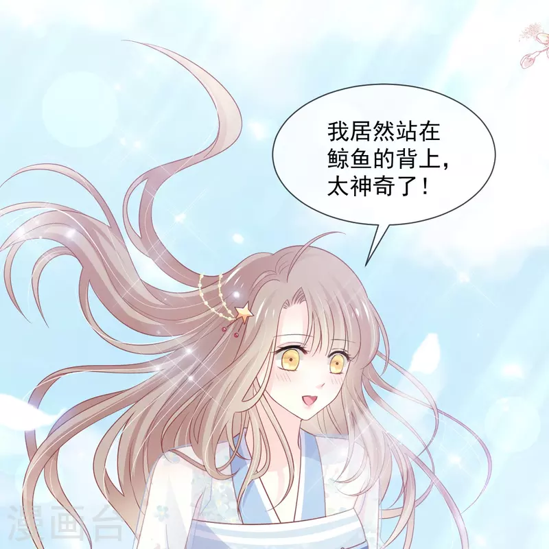 天下第一宠免费阅读小说漫画,第236话 鲸背上的浪漫1图