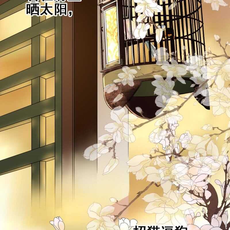 王的宠妃全文阅读漫画,第66话2图