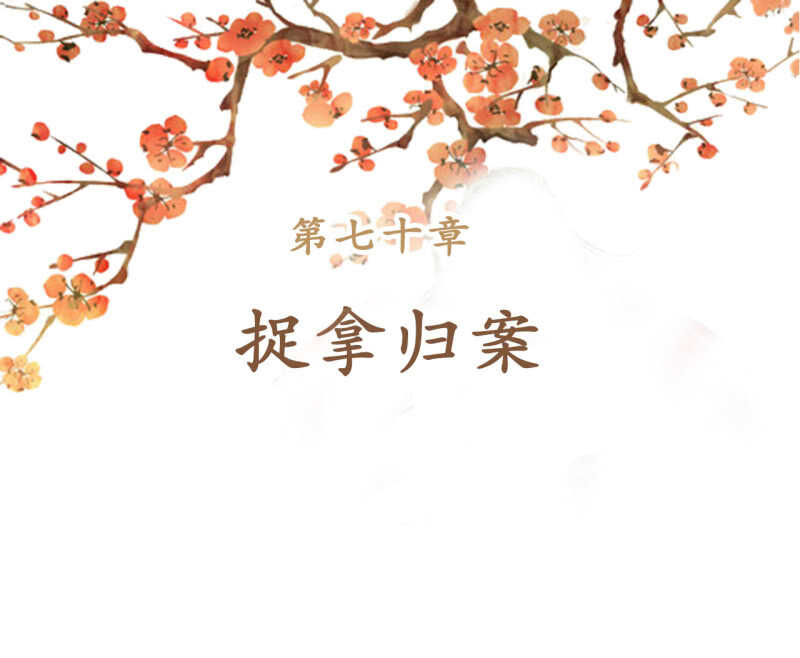 王的宠妃漫画,第70话2图