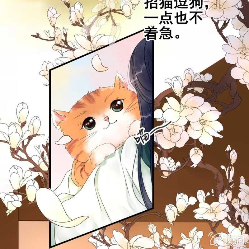 王的宠妃全文阅读漫画,第66话1图