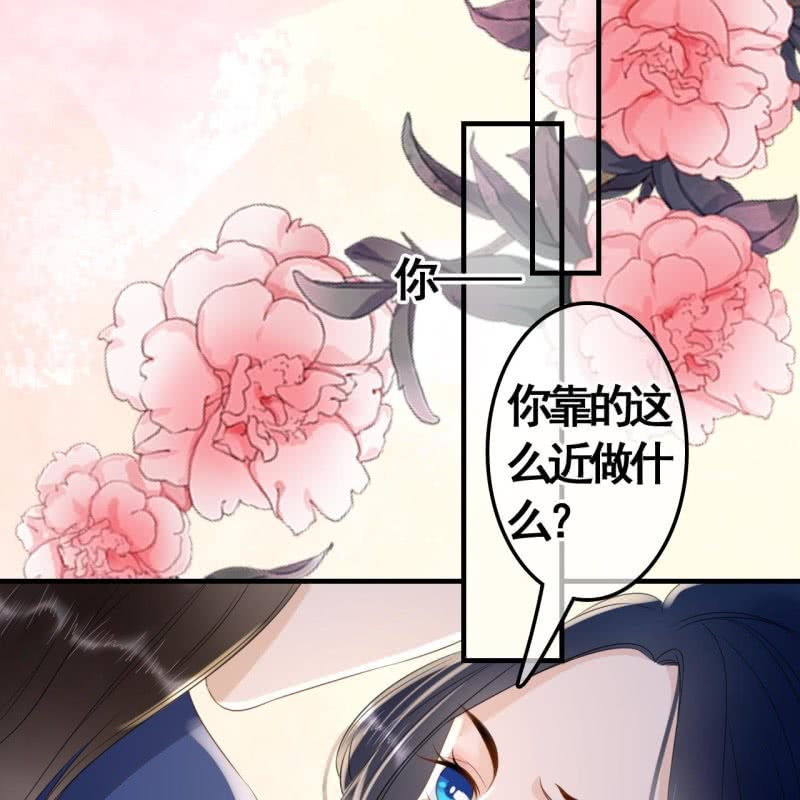 王的宠妃全文阅读漫画,第96话2图