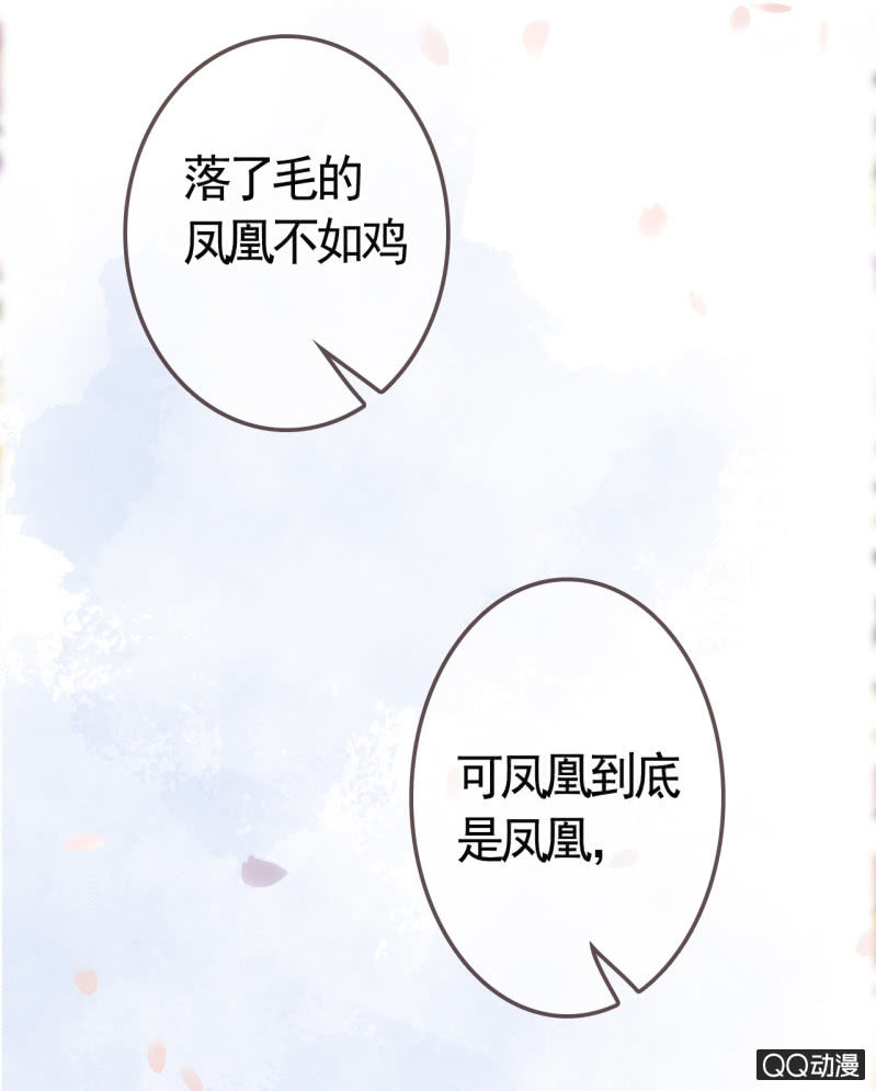 王的宠姬全文免费阅读漫画,第5话2图