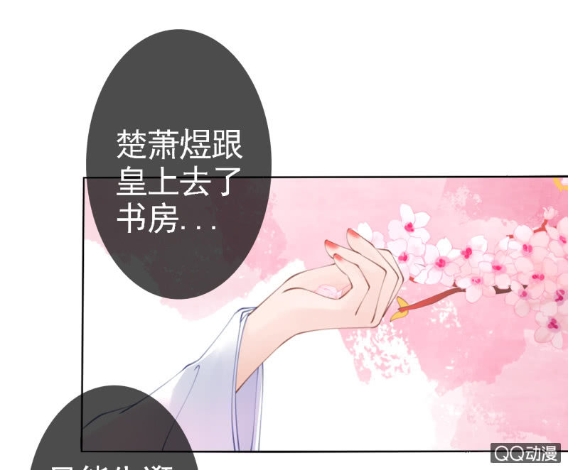 王的宠妃漫画下拉式免费阅读漫画,第14话2图