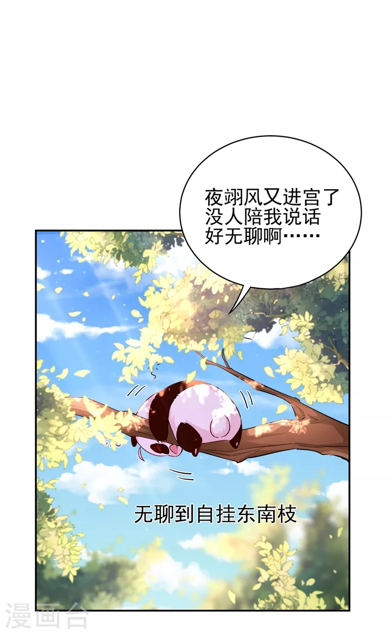 天降萌宝小熊猫：萌妃来袭漫画,番外1 被蜜蜂蛰了的那点事儿2图