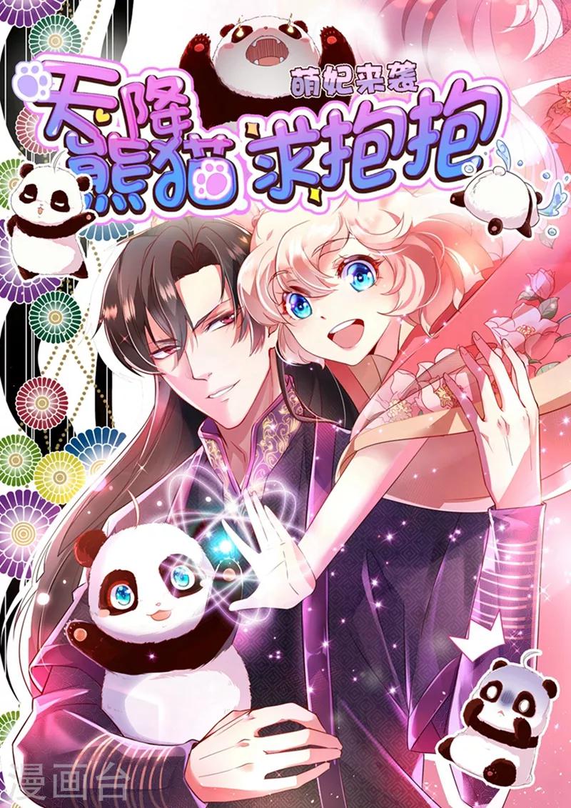 天降萌宝小熊猫萌妃来袭哪里看漫画,第2话 帅哥从天而降1图