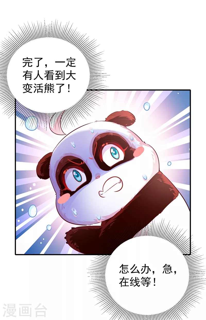 天降萌宝小熊猫萌妃来袭哪里看漫画,现代篇43 守护精灵再度登场！2图