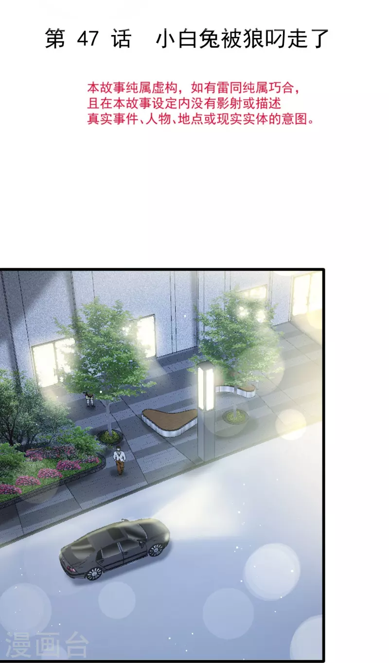 重生成血族总裁的小甜点漫画,第47话 小白兔被狼叼走了1图