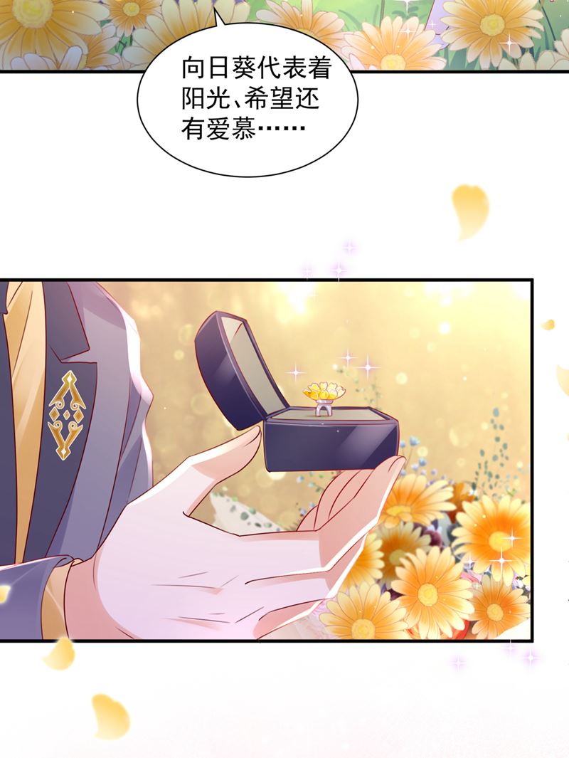 沫许辰光小说作者漫画,笙笙，嫁给我吧2图