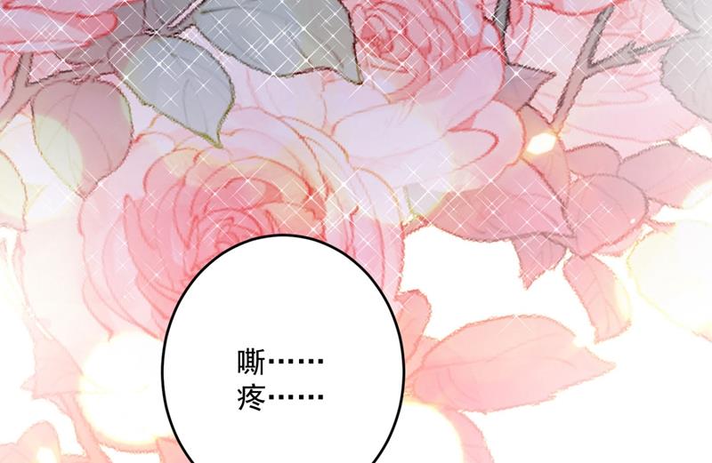 沫许辰光小说作者漫画,新婚之夜1图