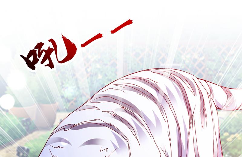 沫许辰光漫画,这是……大猫？！1图