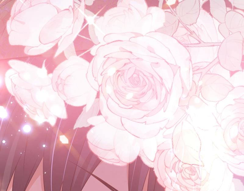 沫许辰光小说作者漫画,新婚之夜1图
