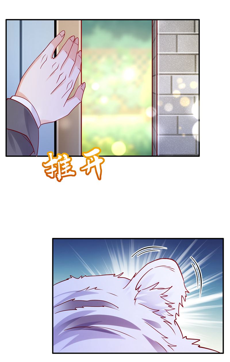 沫许辰光漫画,这是……大猫？！2图