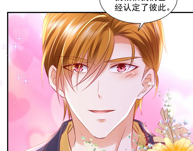 沫许辰光小说作者漫画,笙笙，嫁给我吧2图
