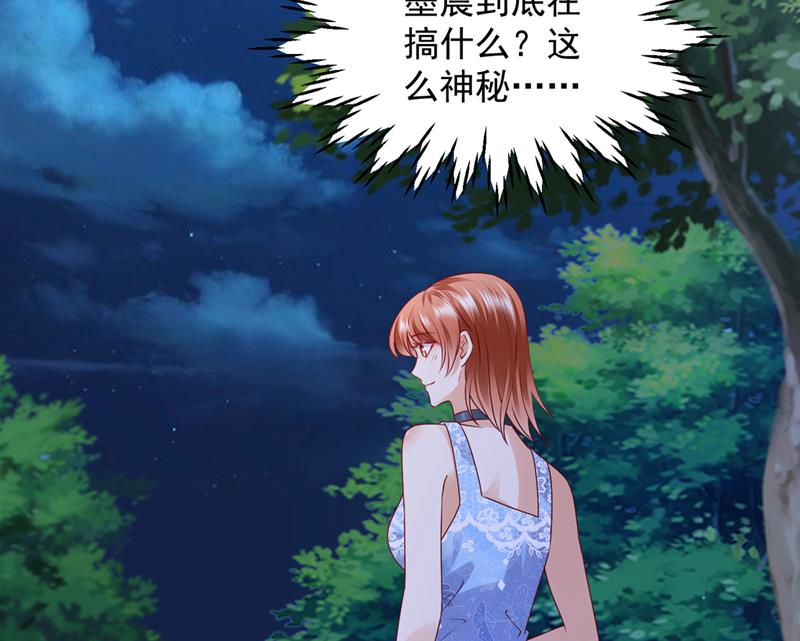 沫许辰光小说作者漫画,笙笙，嫁给我吧1图