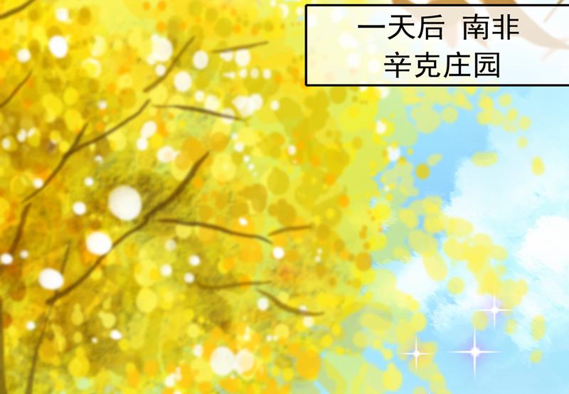 沫许辰光漫画,这是……大猫？！2图