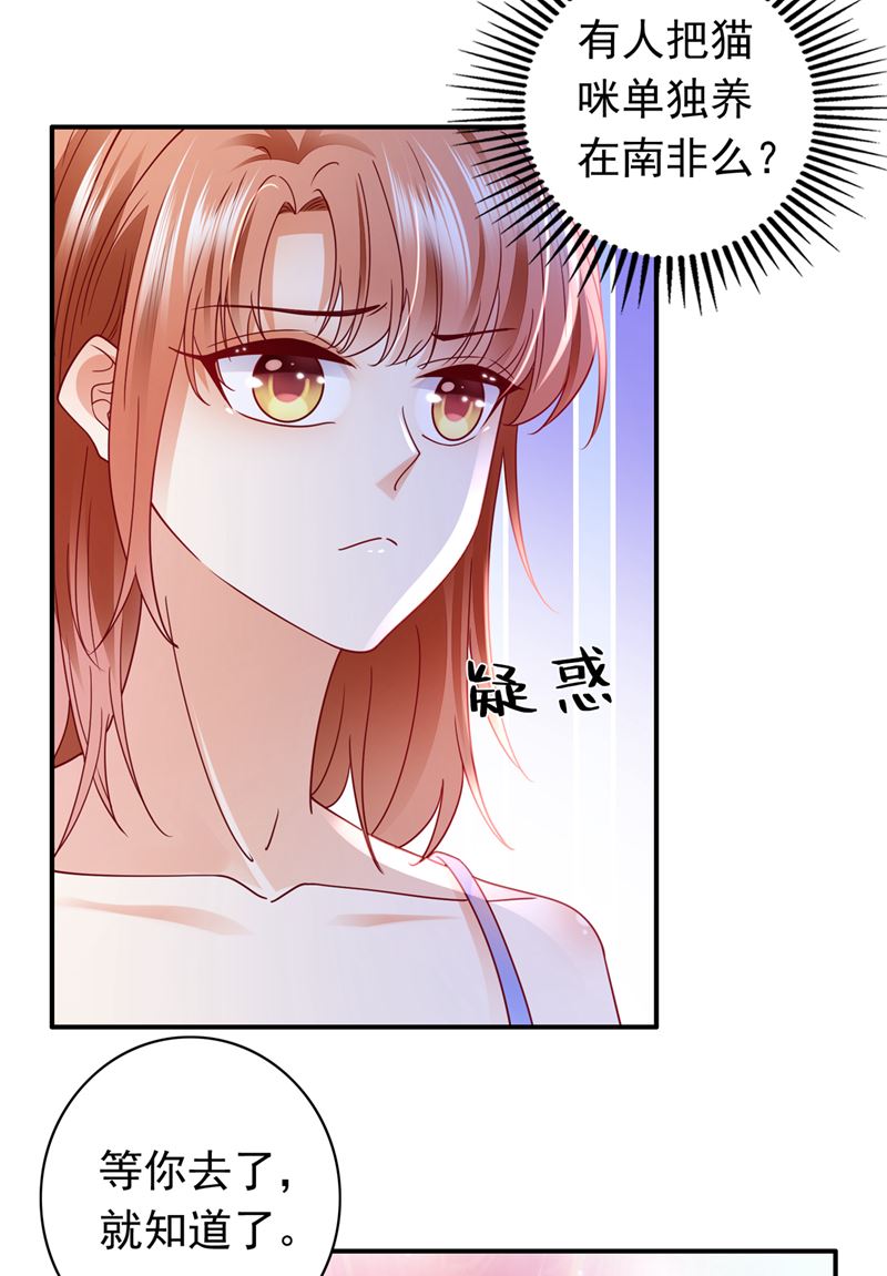 沫许辰光漫画,这是……大猫？！2图
