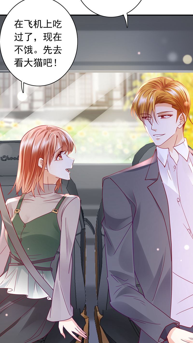 沫许辰光漫画,这是……大猫？！1图