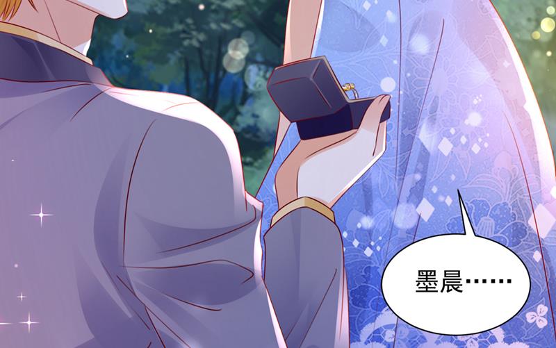 沫许辰光小说作者漫画,笙笙，嫁给我吧2图