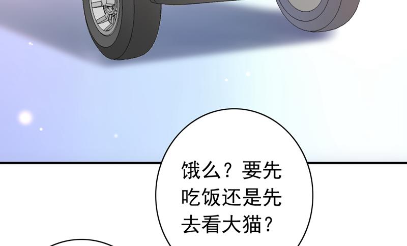 沫许辰光漫画,这是……大猫？！2图