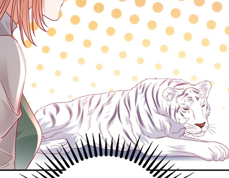 沫许辰光漫画,这是……大猫？！2图
