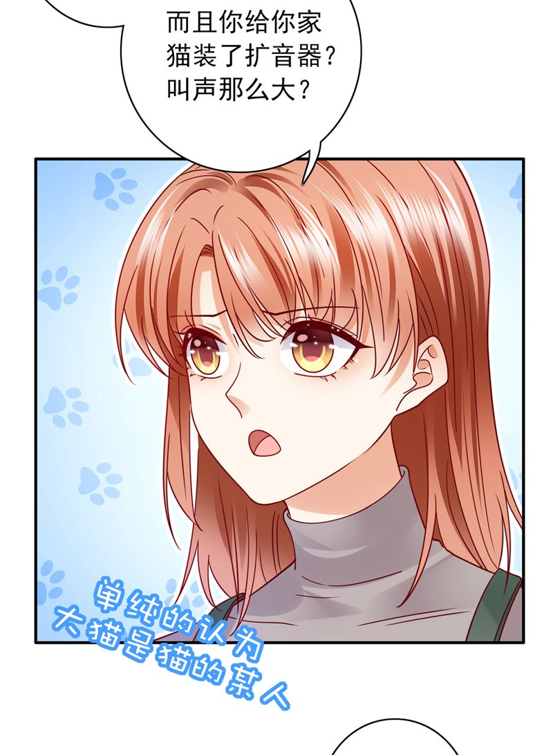 沫许辰光漫画,这是……大猫？！2图