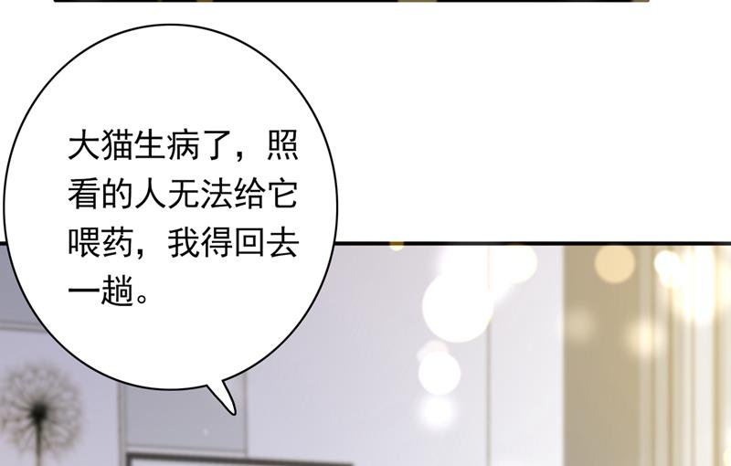 沫许辰光漫画免费观看漫画,这是……大猫？！2图