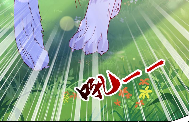 沫许辰光漫画,这是……大猫？！1图