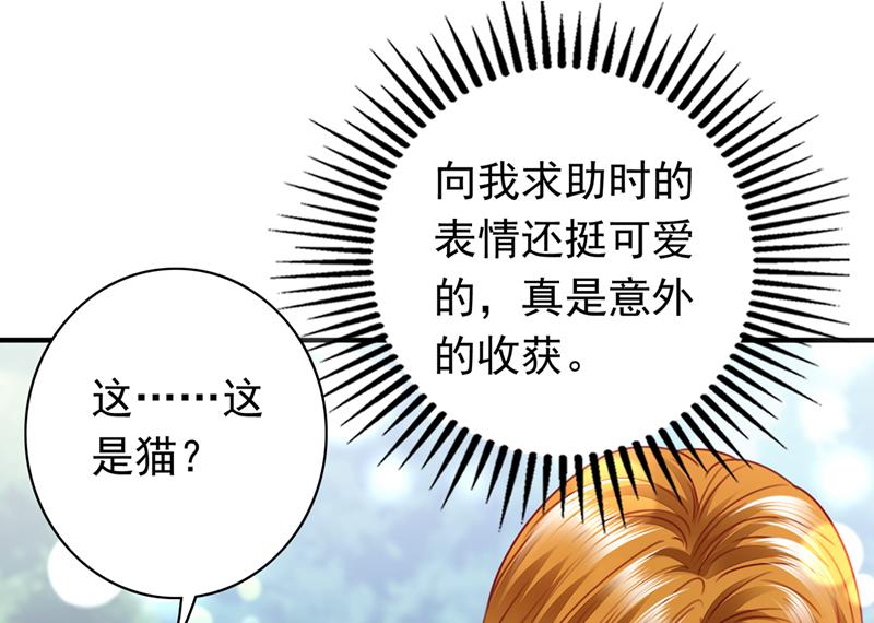 沫许辰光漫画,这是……大猫？！2图