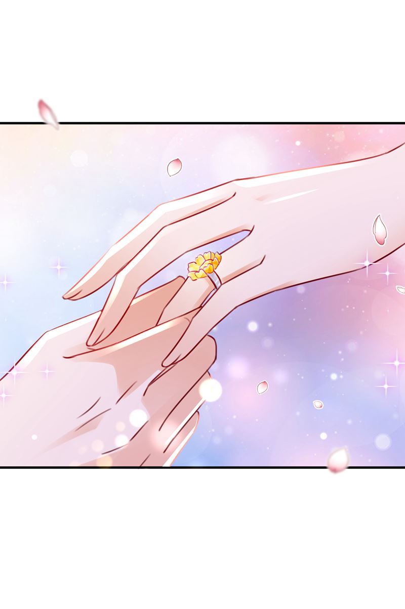 沫许辰光小说作者漫画,笙笙，嫁给我吧1图