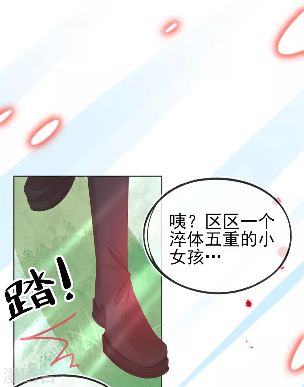 本王妃神藤在手小说免费下拉式漫画,第63话 叶玲珑雇了杀手2图