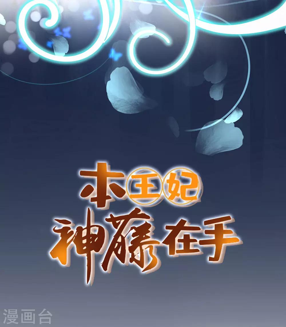 本王妃神藤在手漫画免费下拉式漫画,第11话 身世之谜1图