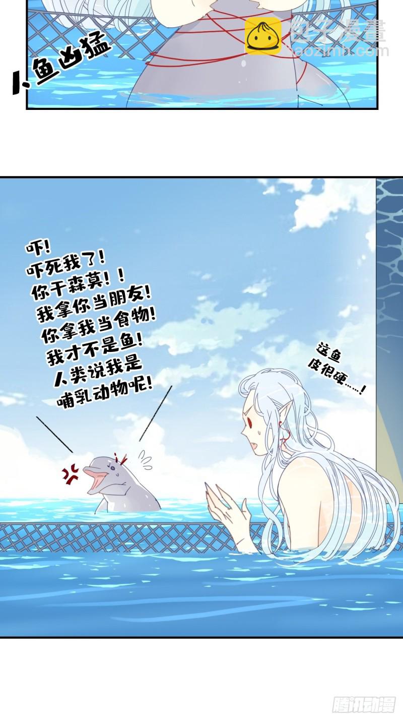 家养美人蕉冬季开花吗漫画,三十一话2图