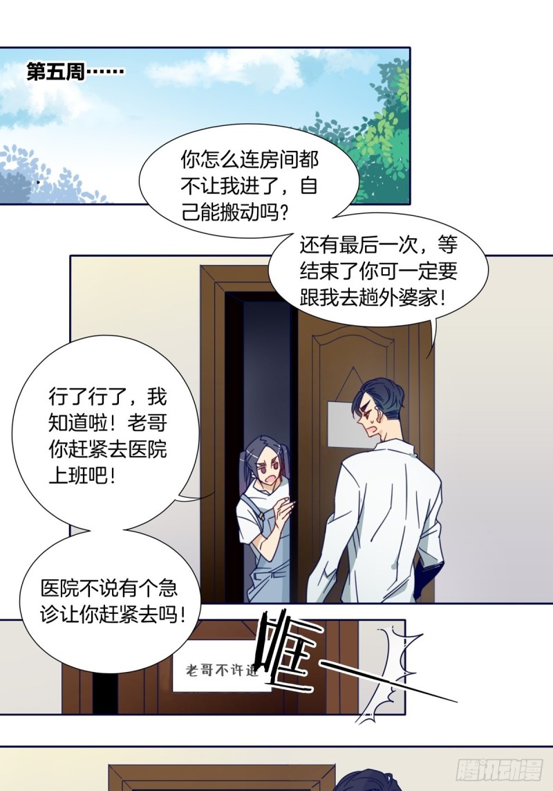 家养美人21漫画,第七话2图