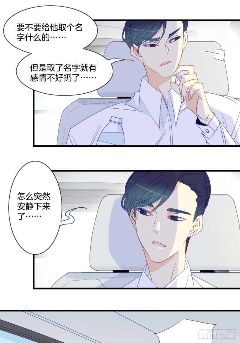 家养猫抓破了要打疫苗吗漫画,第十五话1图