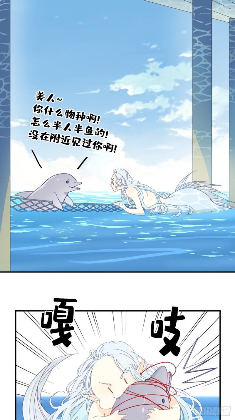 家养美人蕉冬季开花吗漫画,三十一话1图