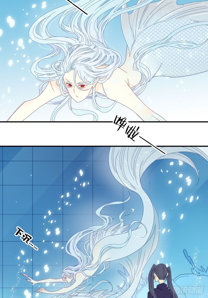 家养美人漫画,二十八话1图