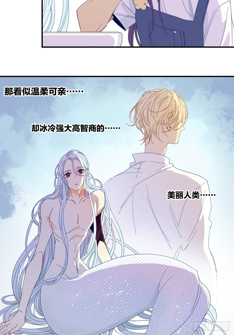 家养美人蕉冬季开花吗漫画,第十九话2图